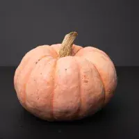 Nejen hokkaido: zajímavé druhy dýní, které lze použít při vaření