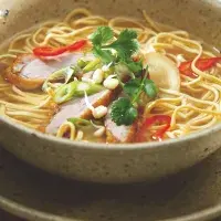 Japonská polévka s kachním masem Japonská polévka s kachním masem