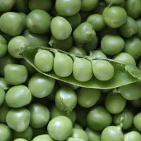 Víte, co se ukrývá pod slupkou hrášku i hrachu?