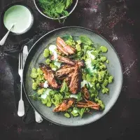 Jehněčí šavarma s bobem zahradním