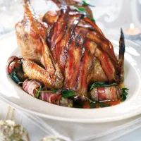 Krůta s francouzskou kaštanovou nádivkou