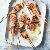 Kuřecí souvlaki v ostré jogurtové marinádě