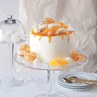 Dort „Mangový sen“