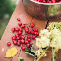 Šípky: vitaminy nabité plody podzimu