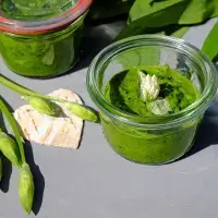 Magické účinky léčivého medvědího česneku: Usnete díky němu jako dítě