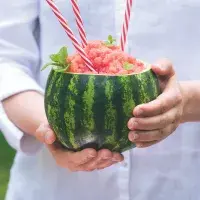 Melounovo–okurková tříšť Melounovo–okurková tříšť