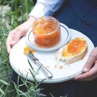 Jaké želírovací prostředky použít na přípravu džemu