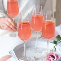 Mimosa s červenými pomeranči