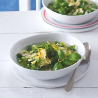 Minestrone s citronem