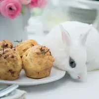 Muffiny s kozím sýrem a rozmarýnem