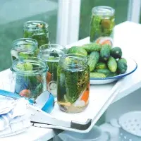 Jak na nejlepší nakládané okurky