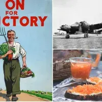 Jak vznikla teorie o mrkvi a dobrém zraku