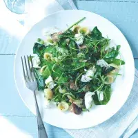 Ouška s trojím hráškem, burratou a houbami