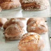 Pane Campagnolo
