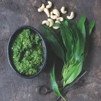 Pesto z medvědího česneku