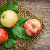 10 zajímavostí o jablkách