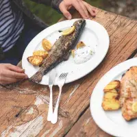 Pstruh plněný cibulí na grilu