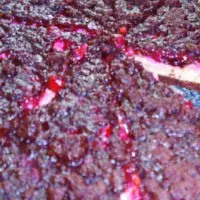 Tvarohový koláč s kakaovou drobenkou