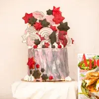 Slavnostní narozeninový dort