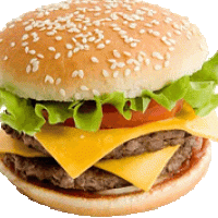 Domácí hamburger Domácí hamburger