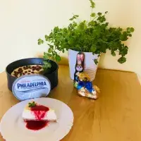 Kokosový cheesecake Kokosový cheesecake