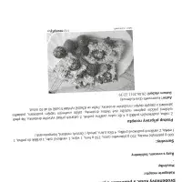 Drobenkový koláč s pudinkem