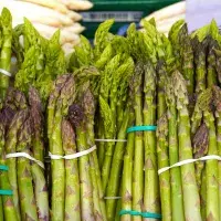 Kvíz: Vše, co byste měli vědět o chřestu na první dobrou