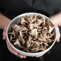 5 prověřených způsobů, jak doma sušit houby a zásobit se na zimu