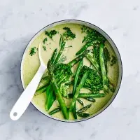 Bleskové zelené kari je lahodná rychlovka, která vyřeší večeři v cukuletu. Hotovo bude za dvacet minut