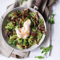 Zelené orzotto s houbami Zelené orzotto s houbami
