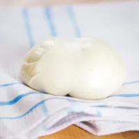 Domácí mozzarella