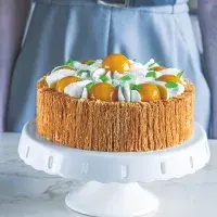 Dort Apricot podle Heleny Fléglové Dort Apricot podle Heleny Fléglové