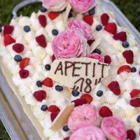 Dort s malinami z Terasy U Prince