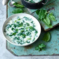 Egyptská špenátová polévka s jogurtem (Labaneja)