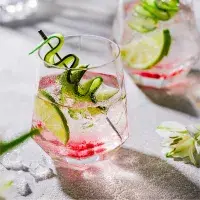 Ginová nauka: Jak gin pít a s čím ho kombinovat