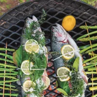 Grilovaný pstruh s chřestem, jarní cibulkou a bylinkami