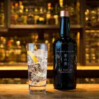 Jak namíchat dokonalý Gin & Tonic