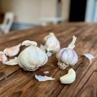 Jak koupit kvalitní česnek: Neměl by mít česnekovou vůni, zemí původu se neřiďte 
