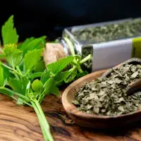 Jak pěstovat, sklízet a chutně využít libeček od natě až po kořen