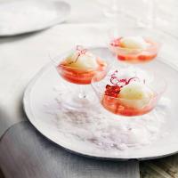 Limetový sorbet s rebarborovým kompotem
