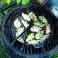 Lososové potstickers