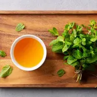 Vše o mátě: Jak ji pěstovat, kdy sklízet a na co si dát pozor