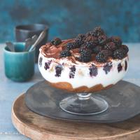Ostružinové skyramisu