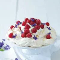 Pavlova s fialkami Pavlova s fialkami