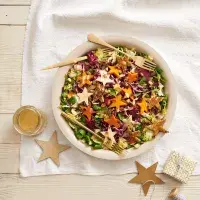 Barevný vánoční salát