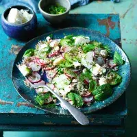 Salát s ředkvičkami, mátou a quinoou