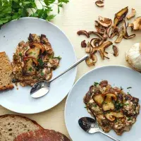 Smaženice ze sušených hub podle M. J. Sandtnerové