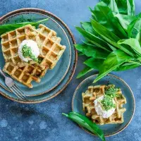 Vafle s medvědím česnekem