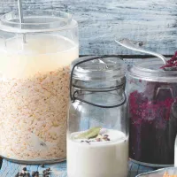 Fermentované ovesné vločky Fermentované ovesné vločky