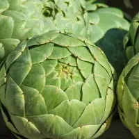 Aby artyčoky neztmavly